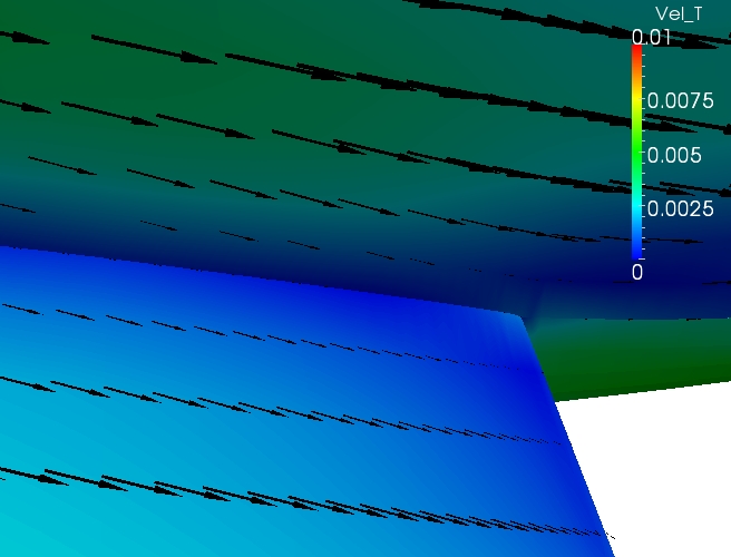 Surface Flow, Wing T.E.