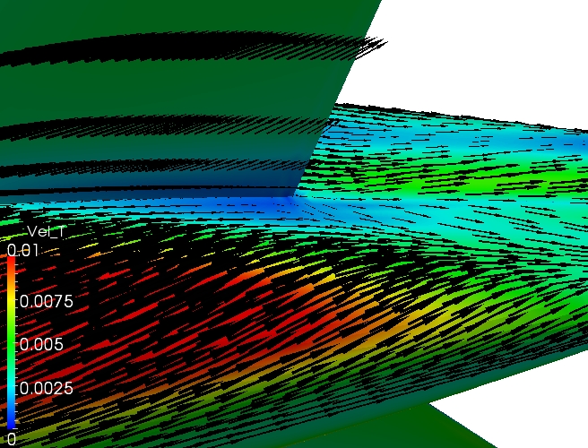 Surface Flow, Tail T.E., Bottom